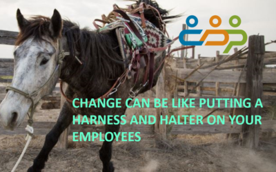 Change Can Be Like Putting a Harness and Halter On Your Employees