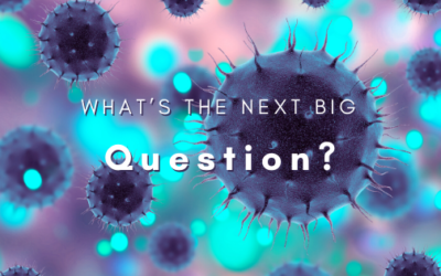 What’s the Next Big Question?
