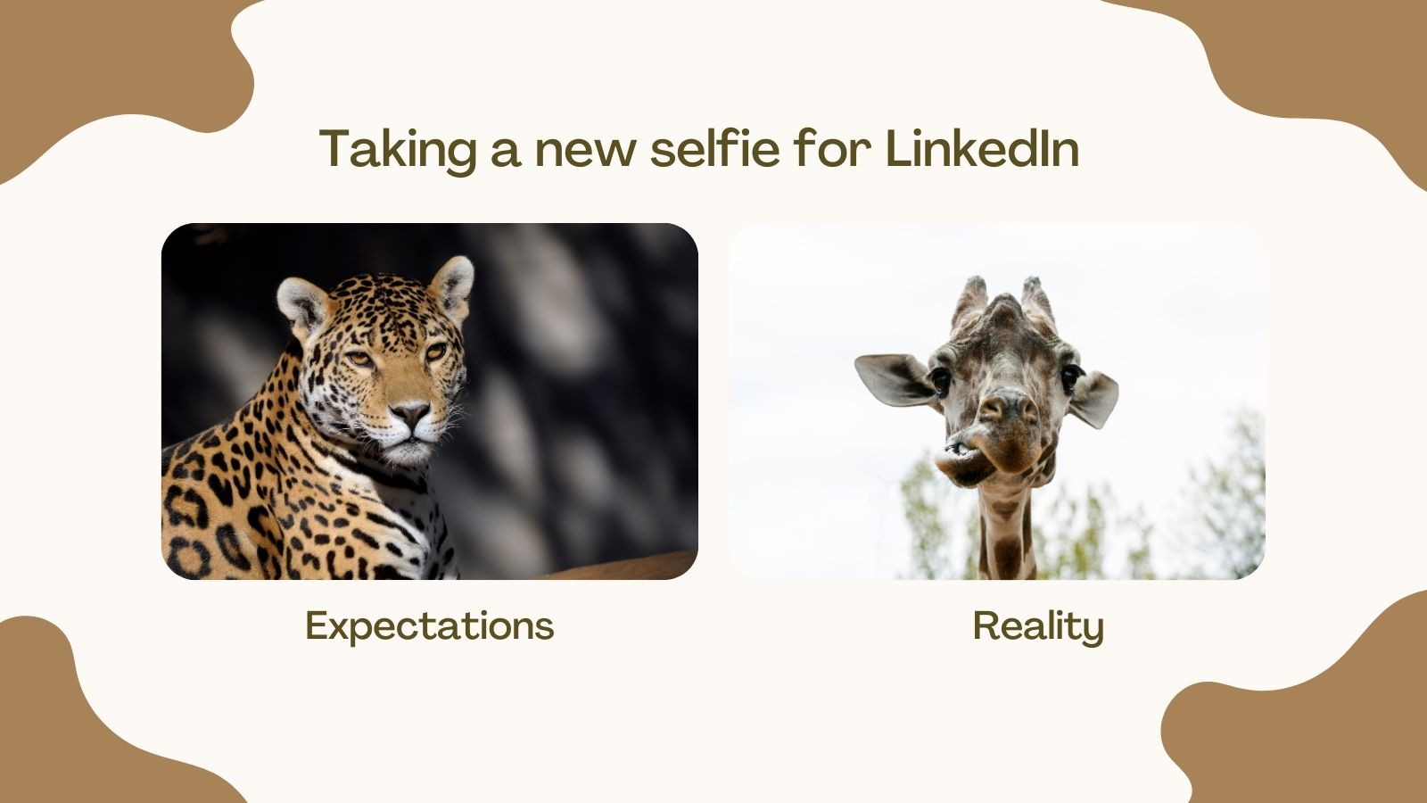 LinkedIn Selfie Meme</p>
<p>Created with Canva