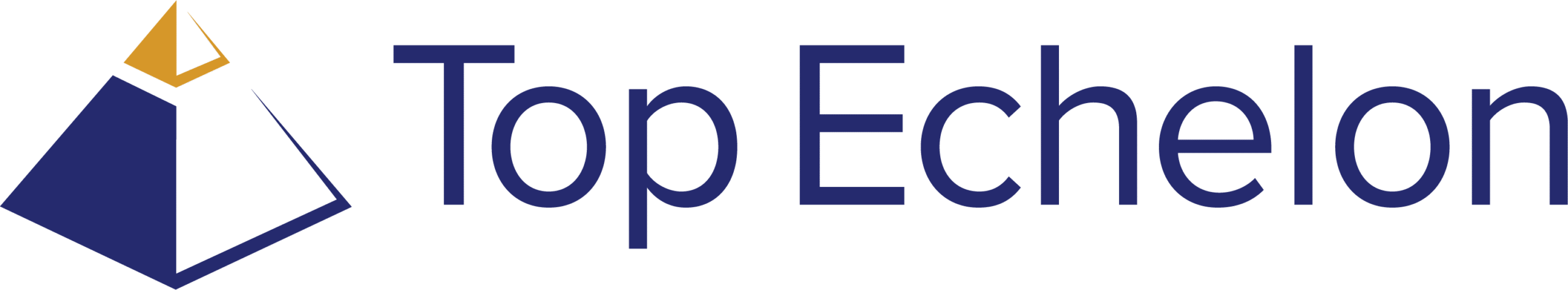 Top Echelon Logo