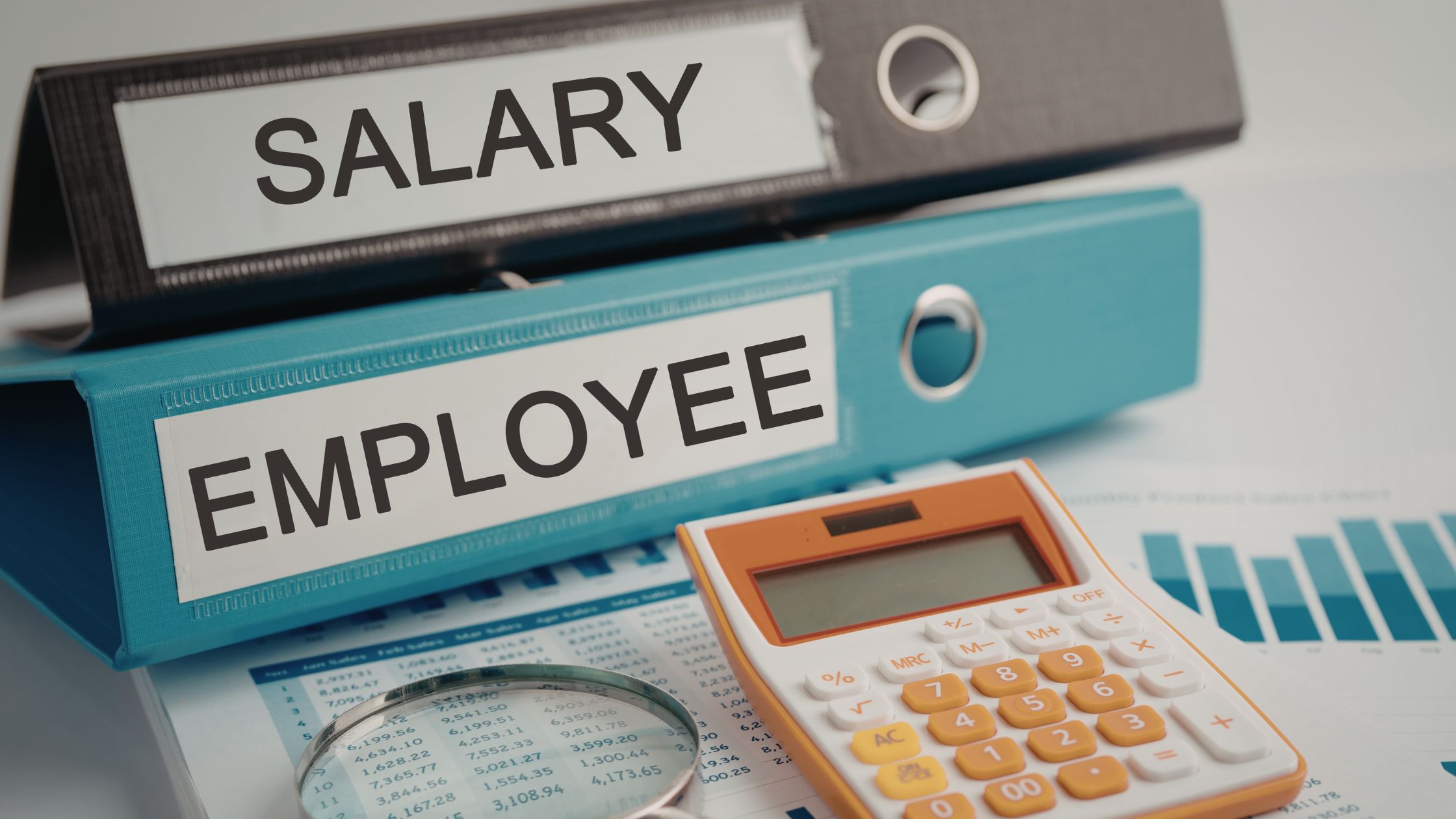 Navigating Salary Transparency